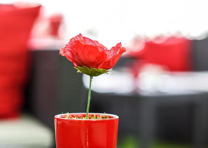 Hotel Auberge L'Estanquet Hotel